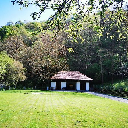 Mateo Transalpina Hotel Săsciori Buitenkant foto