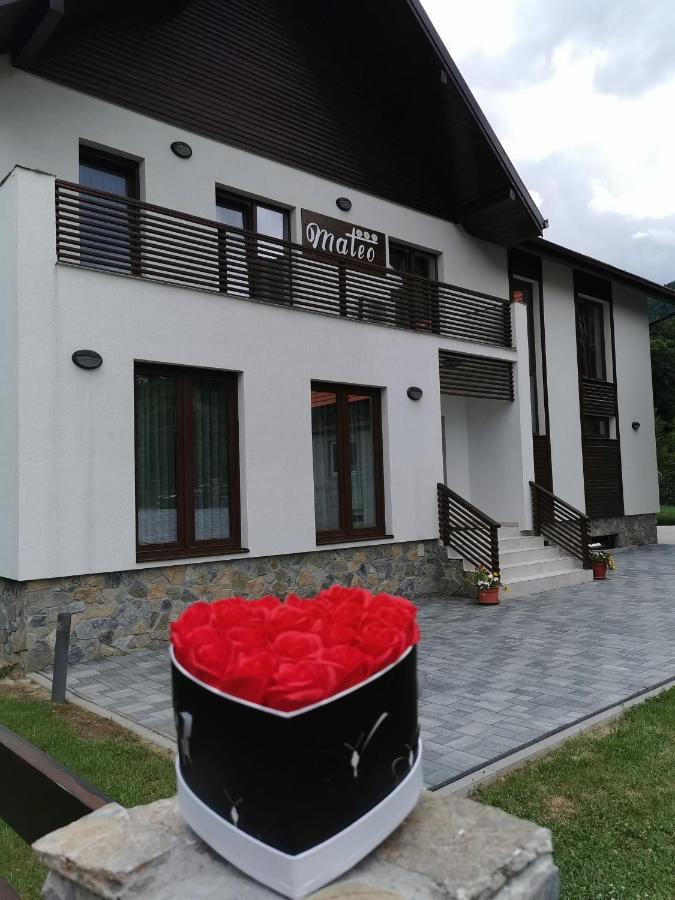 Mateo Transalpina Hotel Săsciori Buitenkant foto