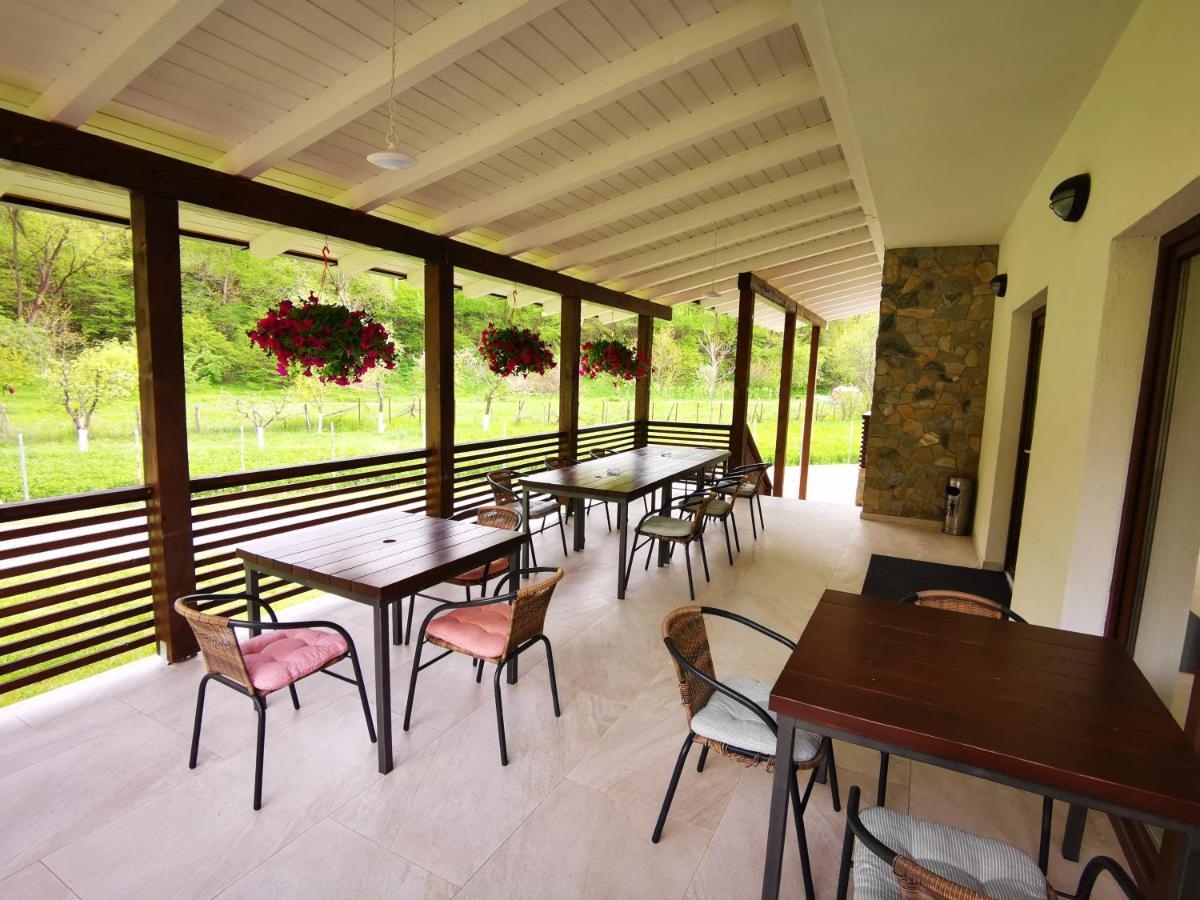 Mateo Transalpina Hotel Săsciori Buitenkant foto